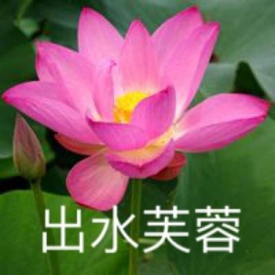 诛神乾坤网易版本下载